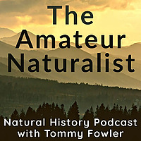 The Amateur Naturalist