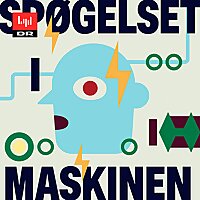 Sp&oslash;gelset i maskinen