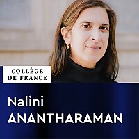 G&eacute;om&eacute;trie spectrale - Nalini Anantharaman
