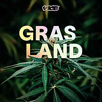 Grasland