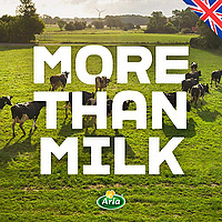 Arla - More than Milk
