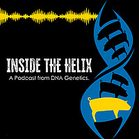 Inside the Helix