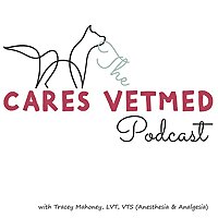 The CARES VetMed Podcast