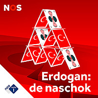 Erdogan: de naschok