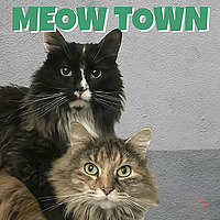 Meow Town
