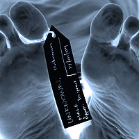 Tales From The Morgue