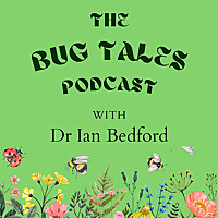 The Bug Tales Podcast