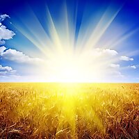 Heaven on Earth Mini Meditations