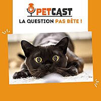 La question pas b&ecirc;te ! ??