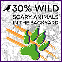30% Wild