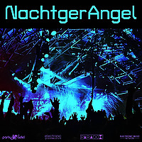 NachtgerAngel - The Series