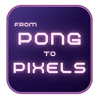 From Pong to Pixels