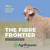 The Fibre Frontier