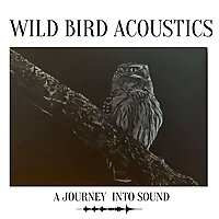 Wild Bird Acoustics