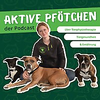 Aktive Pf&ouml;tchen - der Podcast
