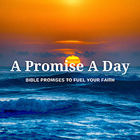 A Promise A Day