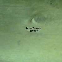 Whirled Through a Poem's Eye