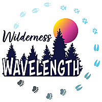 Wilderness Wavelength
