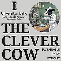 The Clever Cow