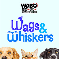 Wags and Whiskers