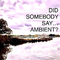 Did Somebody Say&hellip;Ambient?