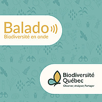 Biodiversit&eacute; en onde