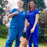 Veterinary pet tails