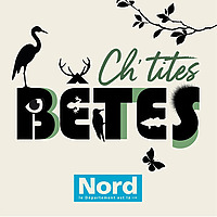 Ch'tites b&ecirc;tes