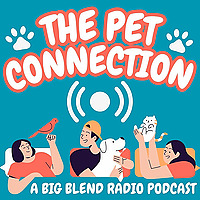 The Pet Connection