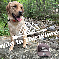 Wild In The Whites
