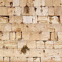 TAC Foundations