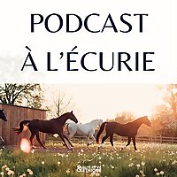 Podcast &agrave; l'&eacute;curie