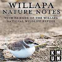 Willapa Nature Notes