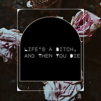 Life's a Bitch and Then You Die