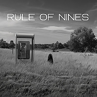 Rule of Nines