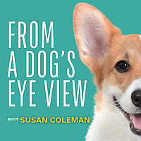 From A Dog's Eye View