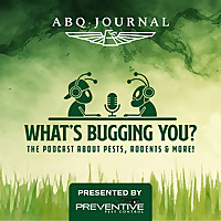 What's Bugging You?