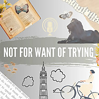Not for Want of Trying