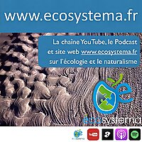Ecosystema la cha&icirc;ne nature
