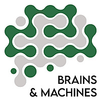 Brains and Machines