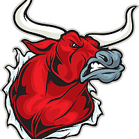The Bullvine
