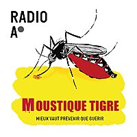 Moustique Tigre, mieux vaut pr&eacute;venir que gu&eacute;rir