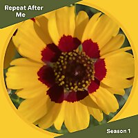 Speak Spanish Now &iexcl;HablaMe Ahora!