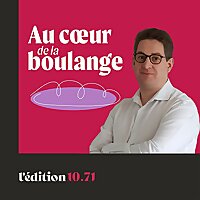 Au coeur de la boulange, la parole aux artisans boulangers [fournil, labo, pain, farine, bl&eacute;, levain