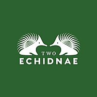 Two Echidnae Wound Care Podcast with Monika and Donna