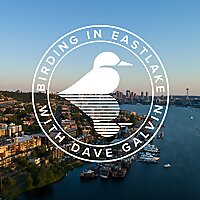 Birding in Eastlake