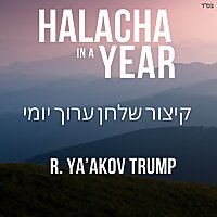 Halacha in a Year