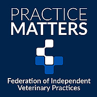 FIVP Practice Matters