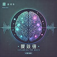 探索脑：Exploring the Brain