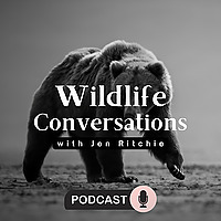 Wildlife Conversations with Jen Ritchie